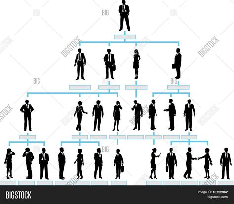 Organization Chart Vector And Photo Free Trial Bigstock