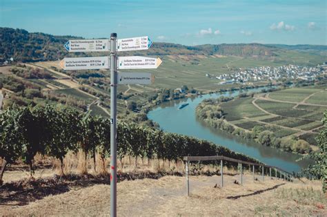 Moselle Valley Dries Buytaert