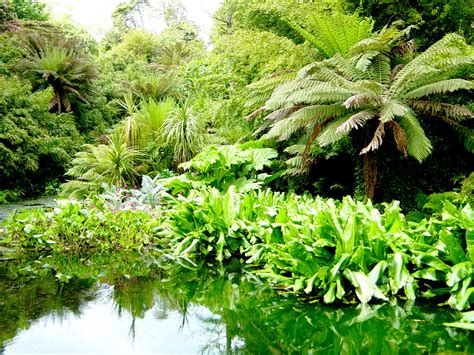 Filethe Jungle The Last Gardens Of Heligan