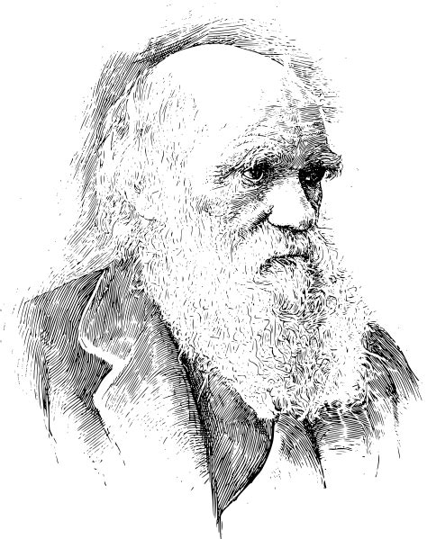 Evolusjonsteorien Til Charles Darwin