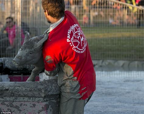 Festival Du Cochon In Canada Where You Catch Greased Pigs To Toss In