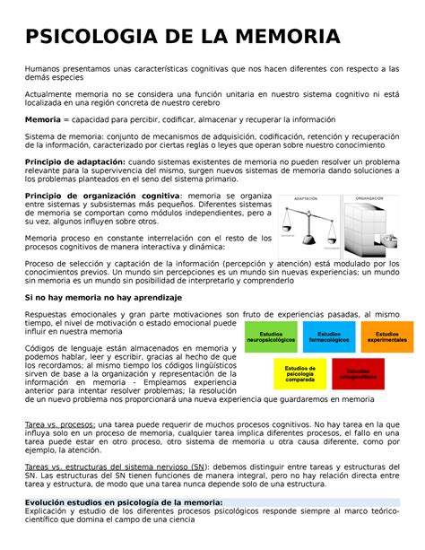 Psicologia De La Memoria Psicologia De La Memoria Humanos Presentamos