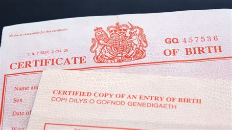 We did not find results for: No Birth Certificate, SSC, or Valid ID? Here's What You Need To Do | Fastbirthcertificates.com