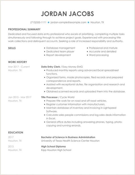 This article will guide you through the importance of excel skills, how employees may use excel in the workplace and how to showcase skills in your resume. Resume Format For Job In Excel Sheet - BEST RESUME EXAMPLES