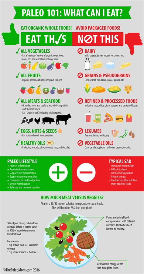 Most of us are familiar with the five major food groups, as put forward by the us department of agriculture. What is the Paleo Diet | Paleo diet meal plan, Starting ...