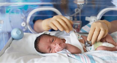 navigating the nicu what to expect when your newborn needs special care mega doctor news