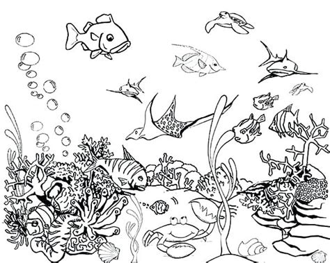 Real Fish Coloring Pages at GetColorings.com | Free printable colorings