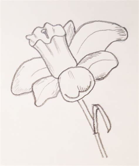 Flor muy fácil de dibujar. Dibujos De Flores Para Dibujar A Lapiz - Vernajoyce Blogs