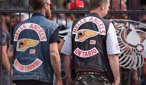 Ns Rcmp Say More Officers Are Needed As Outlaw Motorcycle Gangs Grow