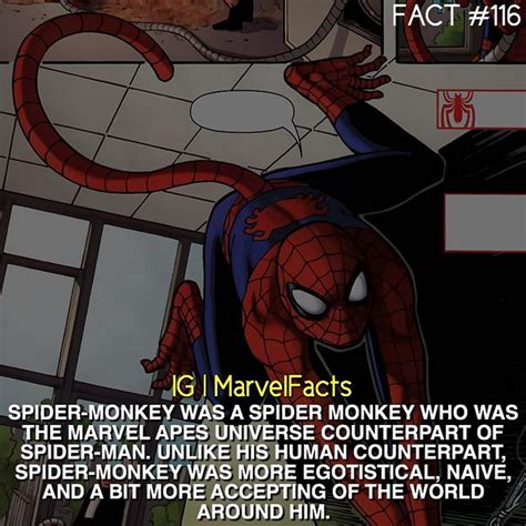 Marvel Facts Marvel Facts Superhero Facts Marvel