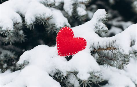 Wallpaper Winter Snow Love Heart Tree Red Love Heart Winter
