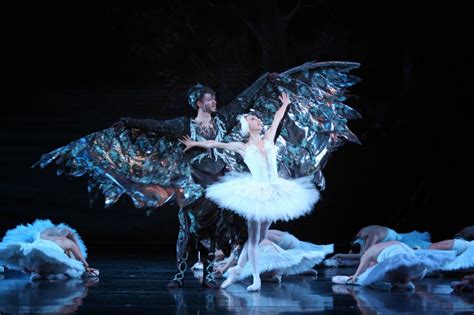 Arts Louisville Ballet Opens With Elegant “swan Lake”