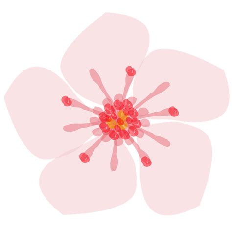Sakura Flower Sticker By Elledeegee White Background 3x3 Flower