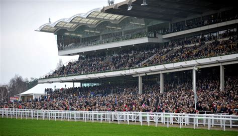 All The Pictures From New Years Day At Cheltenham Racecourse