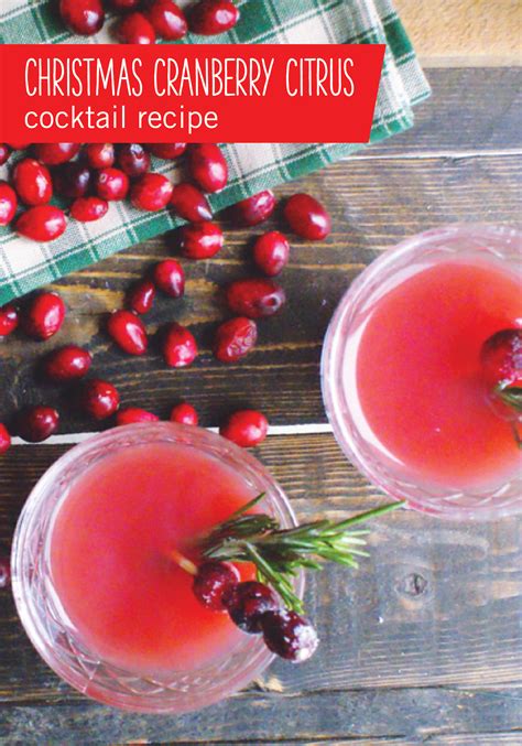 Check spelling or type a new query. A Christmas Cards and Cocktails Party | Citrus cocktail recipe, Flavored vodka drinks, Citrus ...