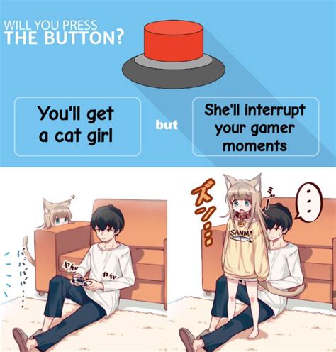 180 Best Foxgirl Images On Pholder Awwnime Animemes And Lostpause