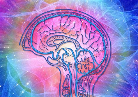 10 Incredible Findings From Psychedelic Research Inner Vision