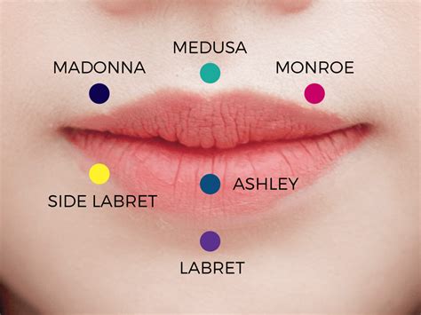 Types Of Lip Piercings 😜 Roll And Feel By Smoking Paper