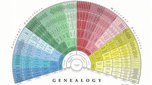 Create A Free Genealogy Fan Chart With Treeseek Com Youtube