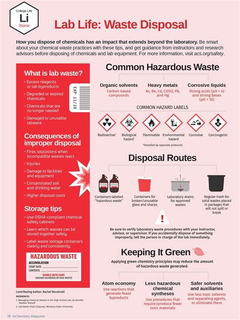 Infographic Waste Disposal Gridwaste Sustainability G Vrogue Co