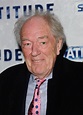 Harry Potter star Michael Gambon to receive lifetime achievement award from Irish Film and ...