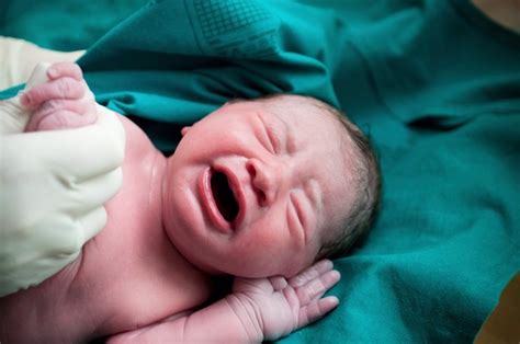 La Policía Descubre Una Granja De Bebés Donde Se Vendían E