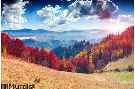 Colorful Autumn Sunrise In The Carpathian Mountains Wallpaper