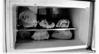 Dahmer : A quoi ressemblait le frigo de Jeffrey Dahmer ? | Ayther