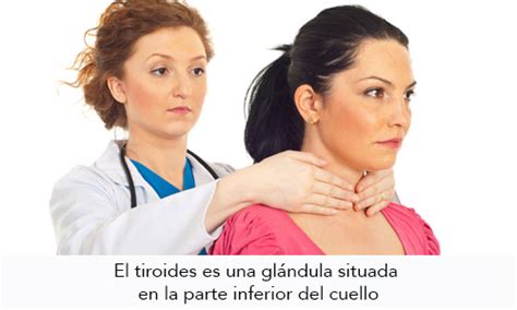 Dr Tiroides Managua La Glándula Tiroidea