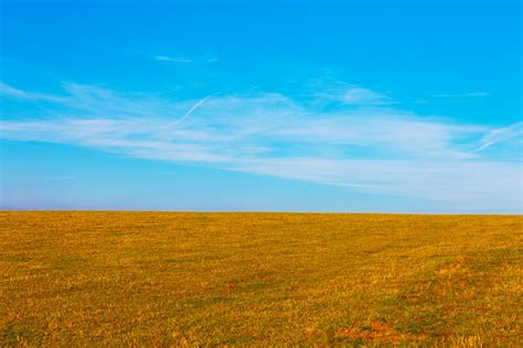 Yellow Field And Blue Sky Free Stock Photo Public Domain Pictures