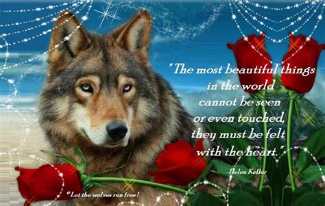 ×♥× Wolves Hidden Beauties ×♥× Wolves Poems