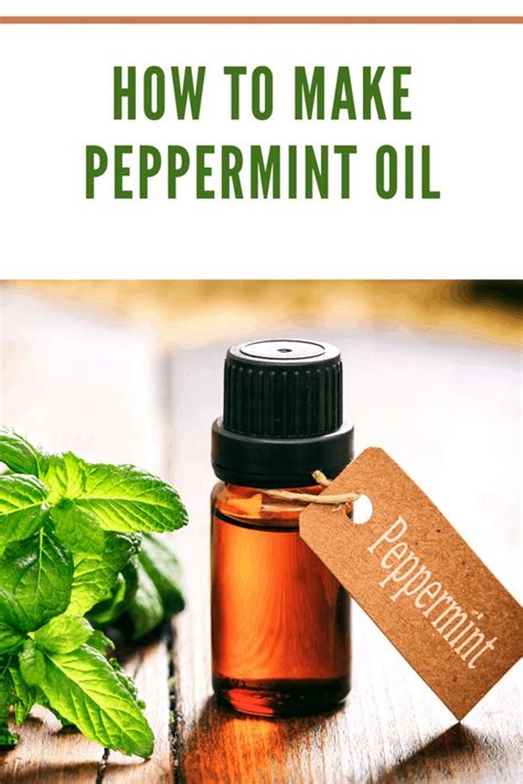 DIY Peppermint Oil Make Your Own Essential Oil At Home