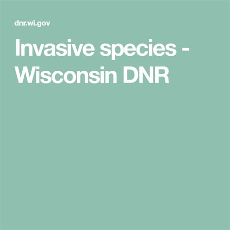 Invasive Species Wisconsin Dnr List Of Invasive Plant Species Along