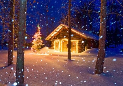 Christmas Cabin Notecard By Patrick J Endres