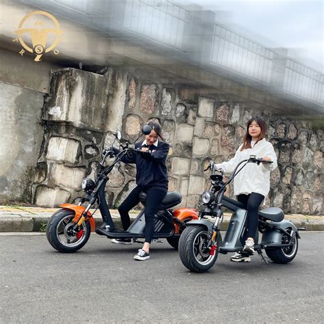 Smart Electric Motorcycle Wheel Citycoco Scooter For Adults China E