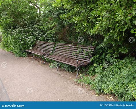 Bench In The Park London Stock Photo Image Of London 116470064