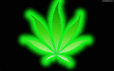 Neon Weed Wallpapers Top Free Neon Weed Backgrounds Wallpaperaccess