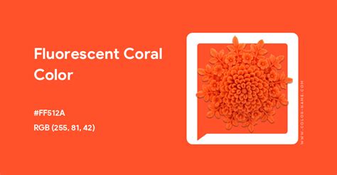 Fluorescent Coral Color Hex Code Is Ff512a