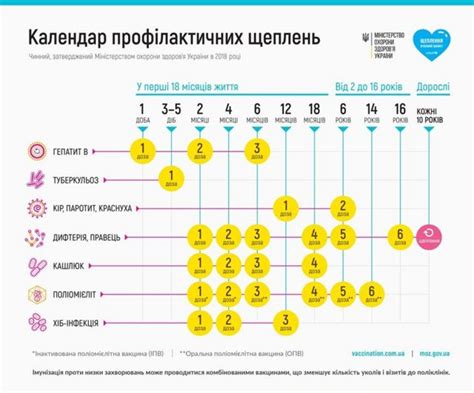 10 питань про щеплення для дорослих Що треба знати всім Bbc News Україна