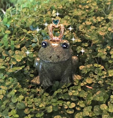 Fairy Garden Frog Miniature Frog Fairy Frog Prince Fairy Etsy Fairy