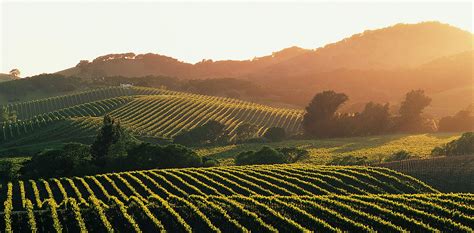 An Athletic Weekend Getaway In Sonoma Valley Ca Furthermore