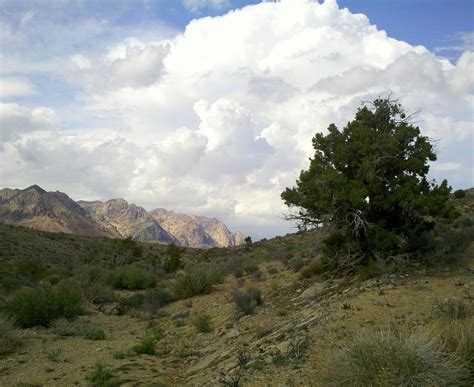 Vegas Girl: How the Las Vegas Monsoon Season Got Its Name