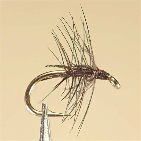 Stewarts Black Spider Southern Wisconsin Trout Unlimited