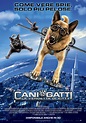 Cani & gatti - La vendetta di Kitty - Warner Bros. Entertainment Italia
