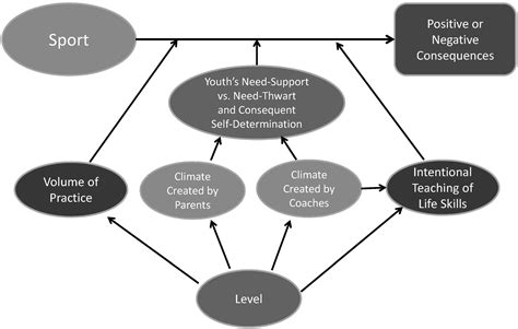 Ijerph Free Full Text Understanding How Organized Youth Sport May