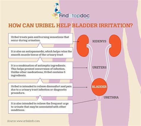 Urinary Tract Infection Symptoms Causes Treatment And Diagnosis Findatopdoc