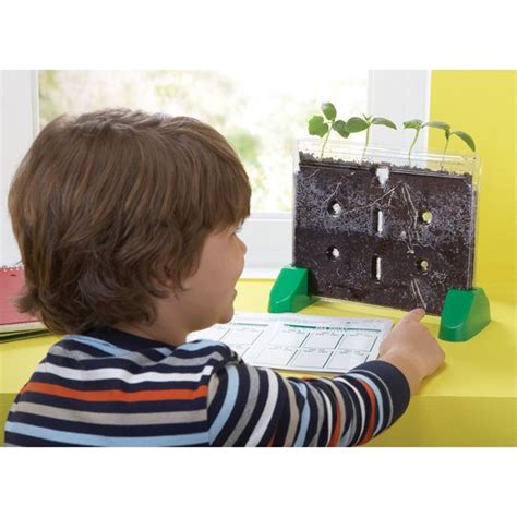 Sprout And Grow Window Plant Growing Kit Educational Insights
