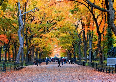 5 Fun Ways To See Fall Foliage In Nyc