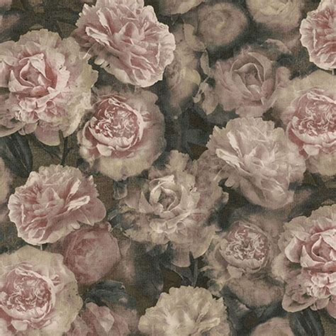 New Studio Romantic Flower Bloom Wallpaper Pink Rose Black Wallpaper From I Love Wallpaper Uk