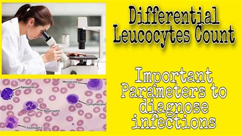 Differential Leukocyte Count Dlc English Youtube